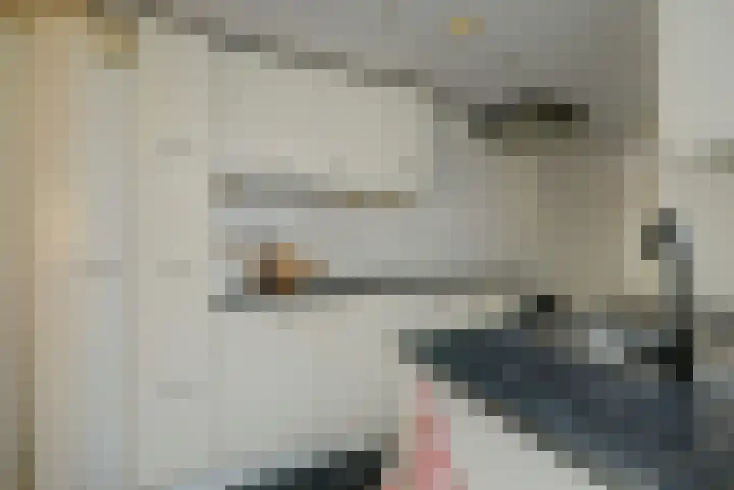 Westelijke Kanaalweg 37 Wemeldinge thumbnail 15