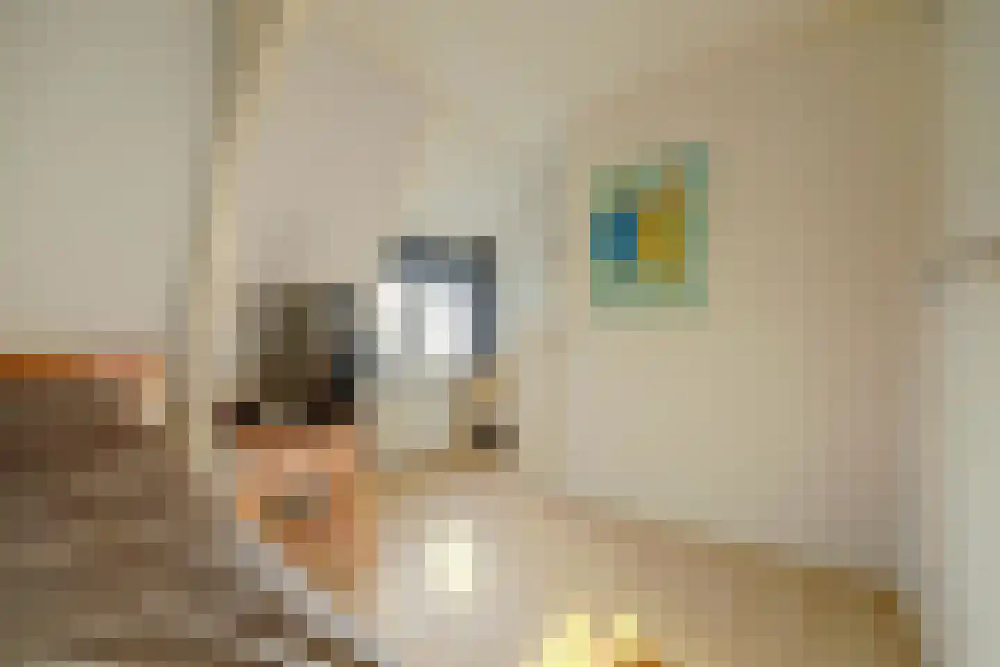 Westelijke Kanaalweg 37 Wemeldinge thumbnail 19