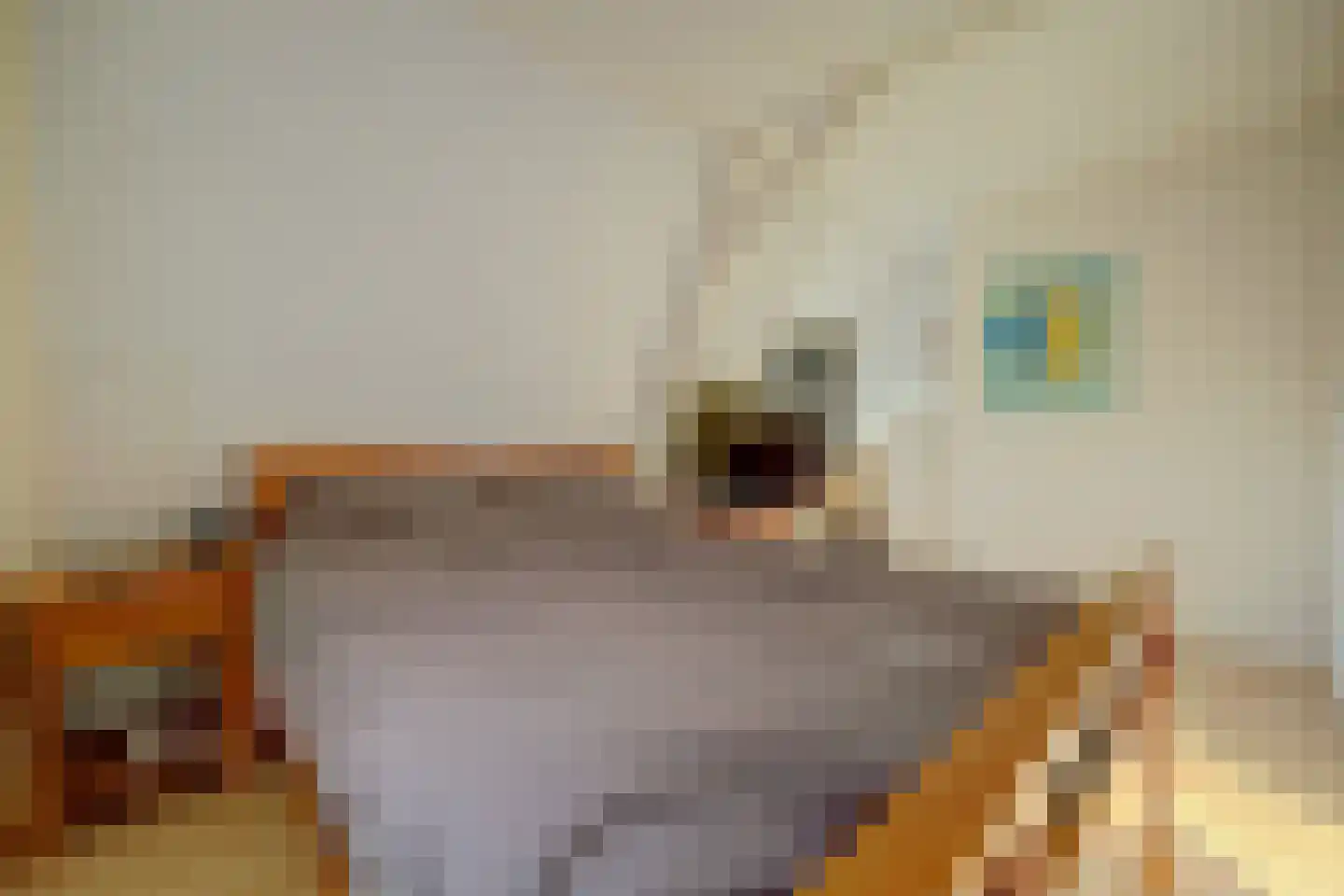 Westelijke Kanaalweg 37 Wemeldinge thumbnail 20