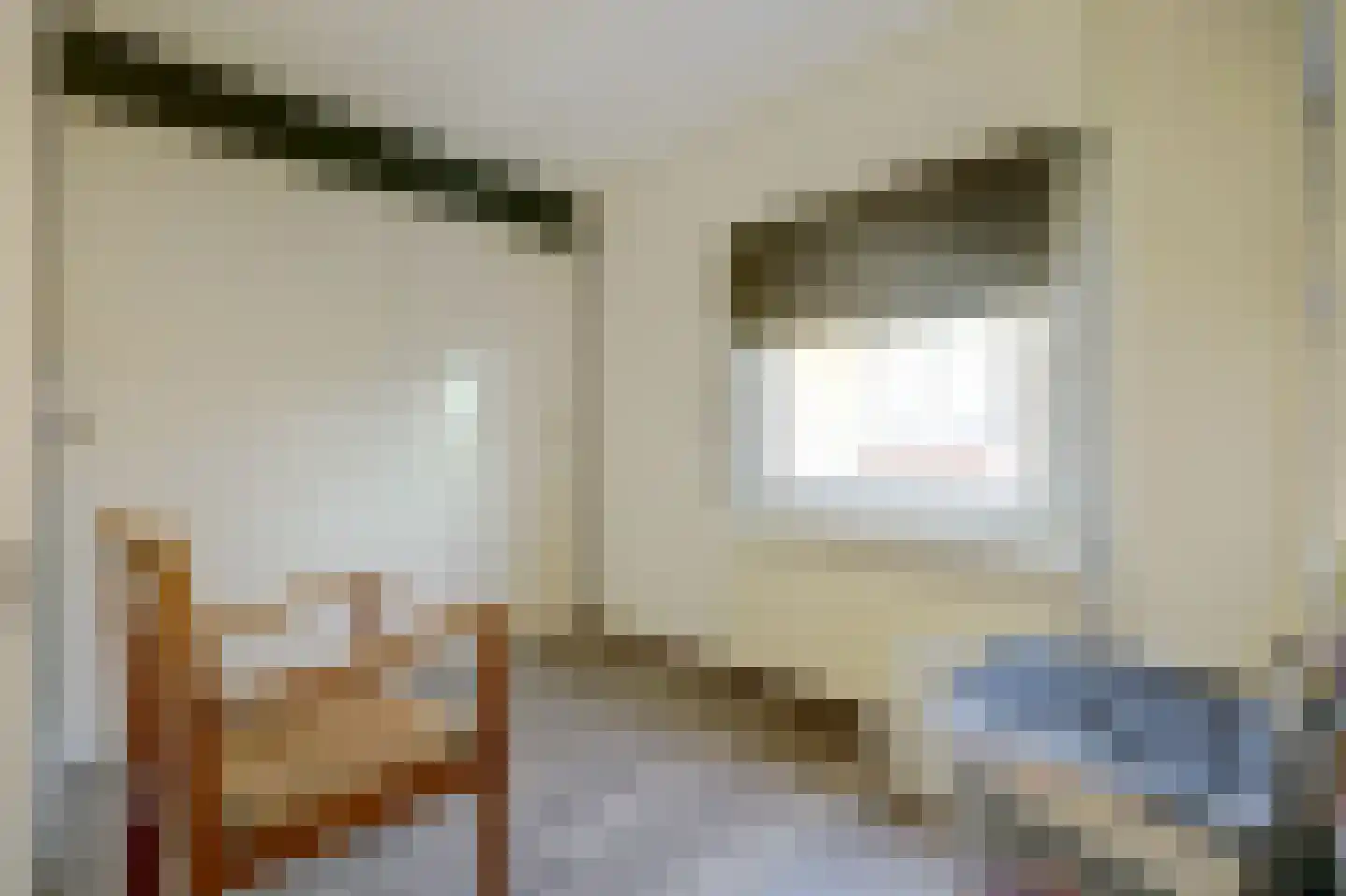 Westelijke Kanaalweg 37 Wemeldinge thumbnail 23