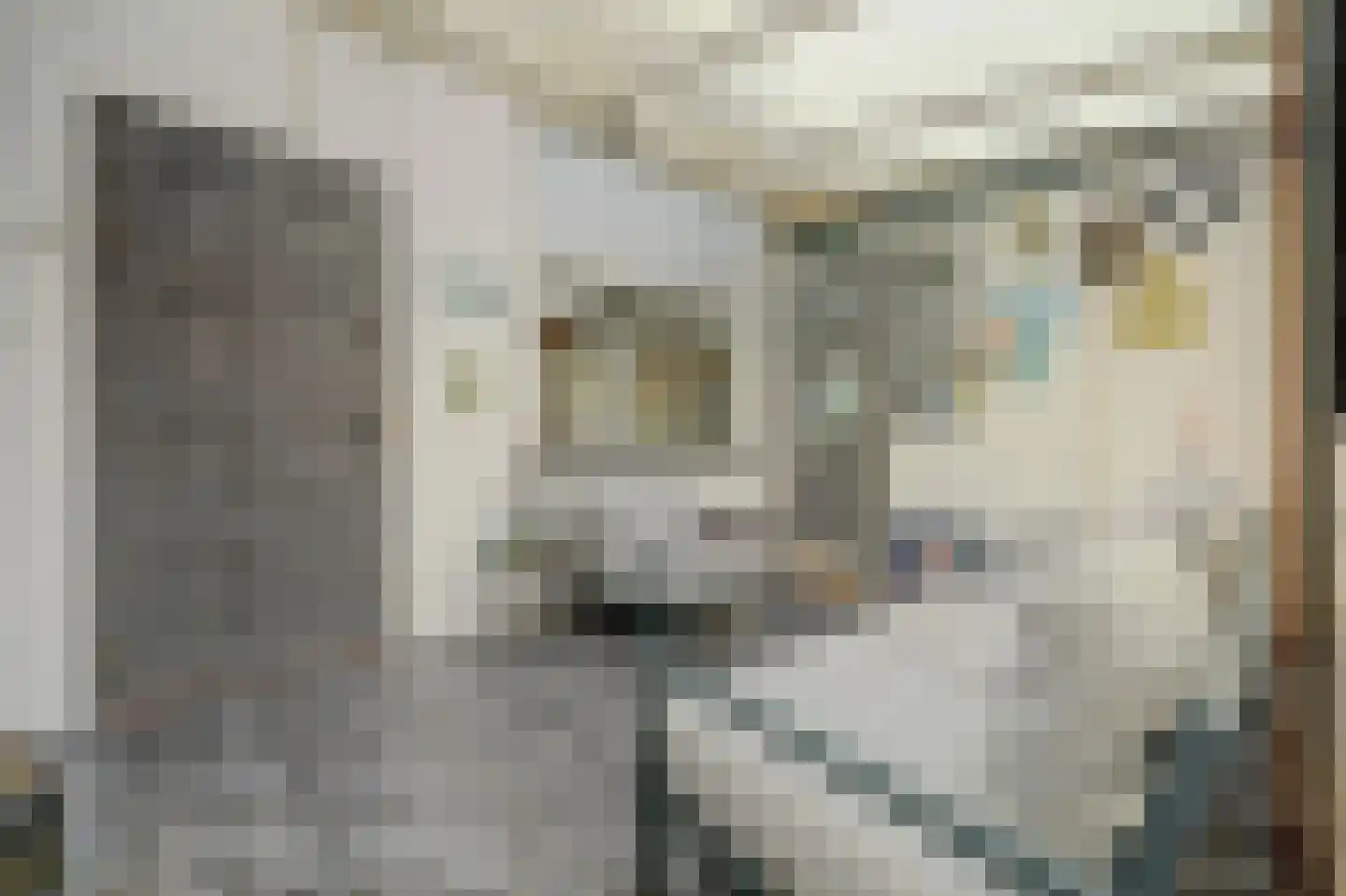 Westelijke Kanaalweg 37 Wemeldinge thumbnail 25