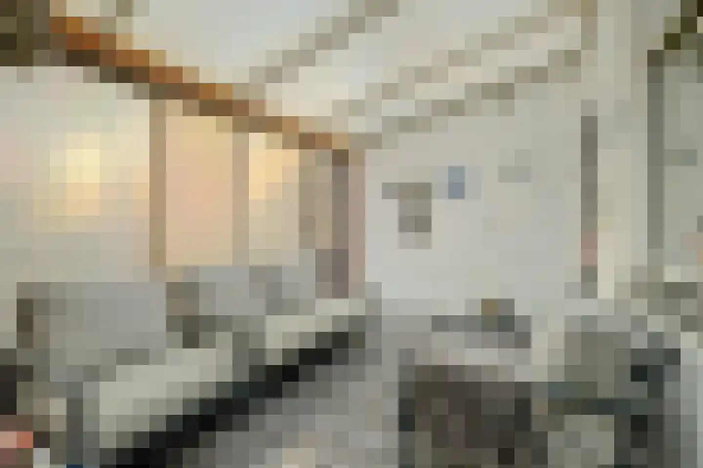 Westelijke Kanaalweg 37 Wemeldinge thumbnail 26