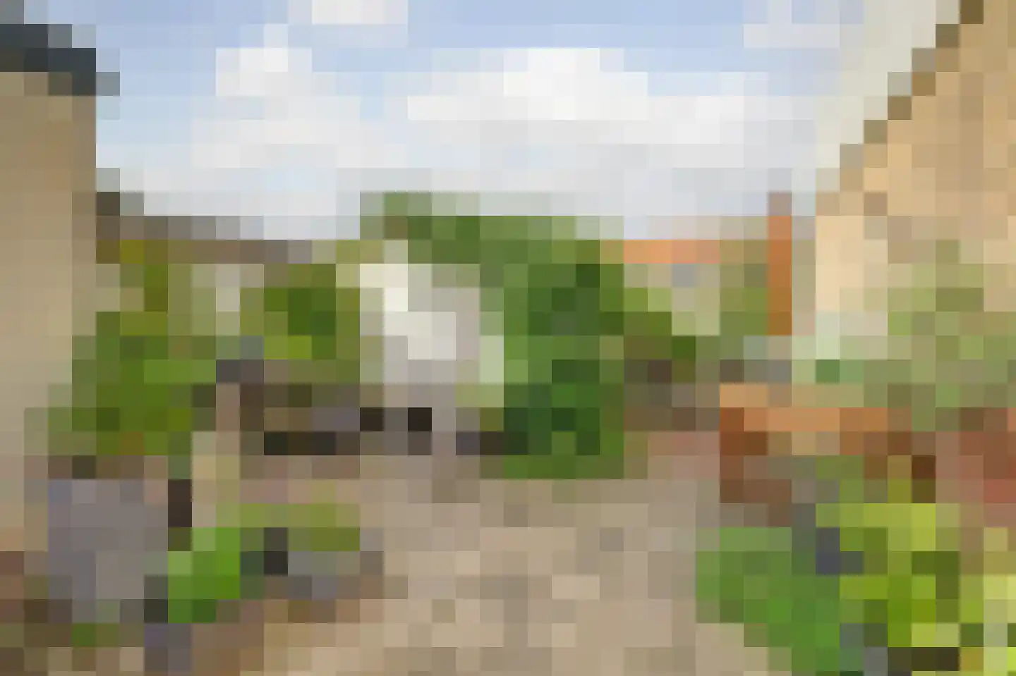 Westelijke Kanaalweg 37 Wemeldinge thumbnail 29