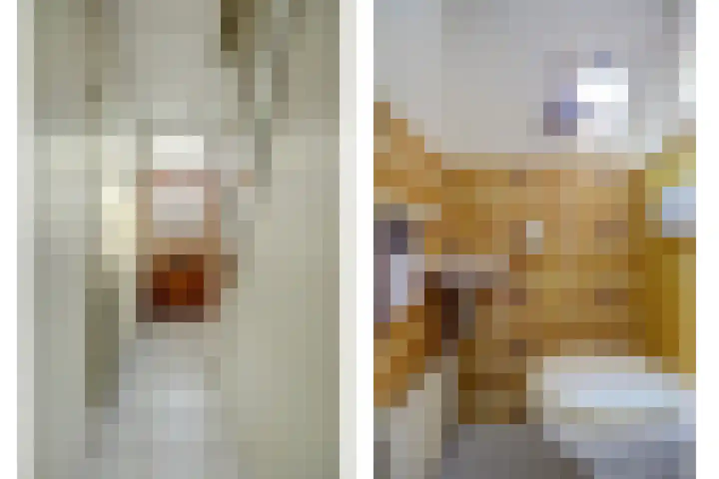 Westelijke Kanaalweg 37 Wemeldinge thumbnail 6