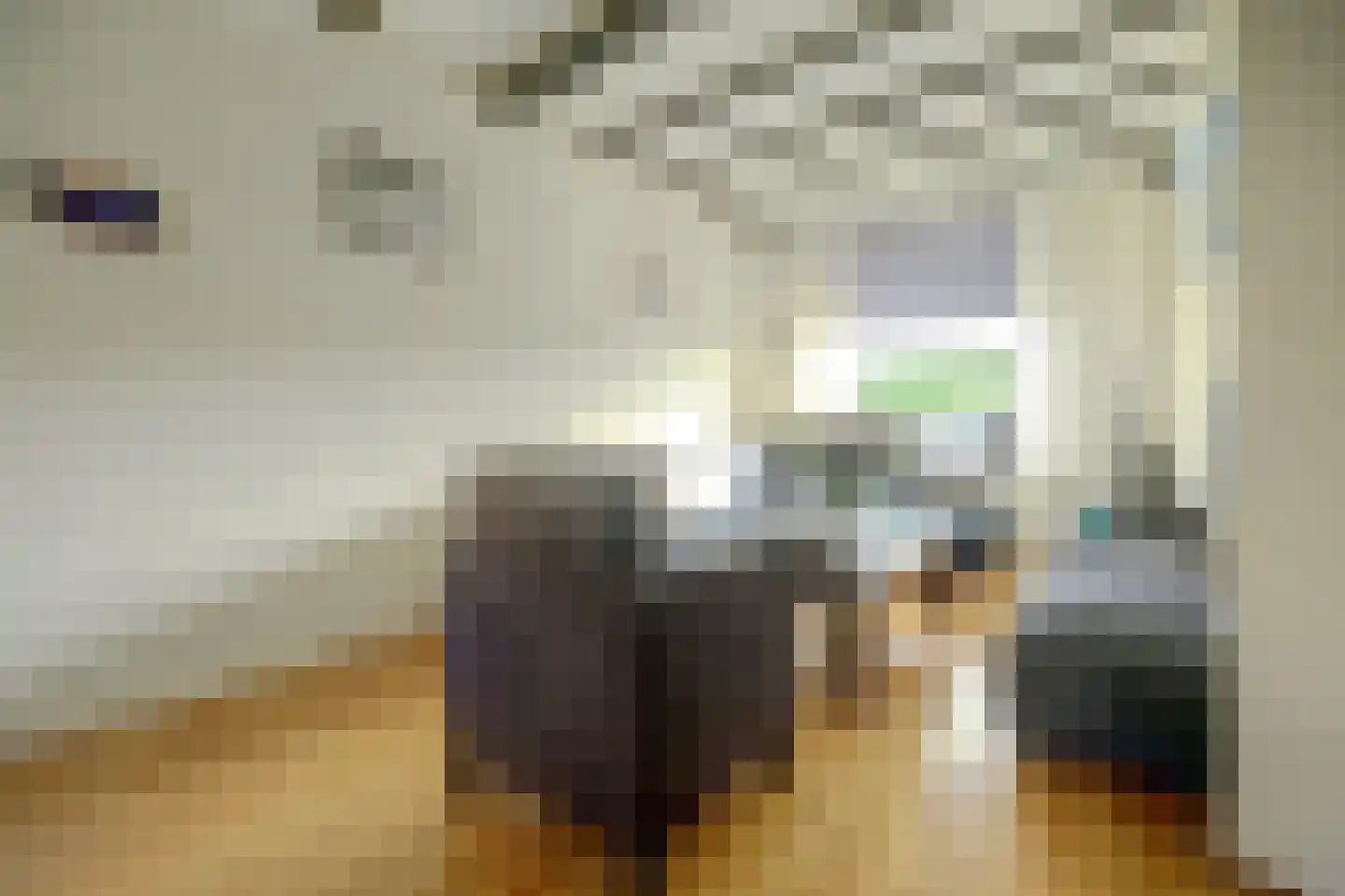 Westelijke Kanaalweg 37 Wemeldinge thumbnail 8