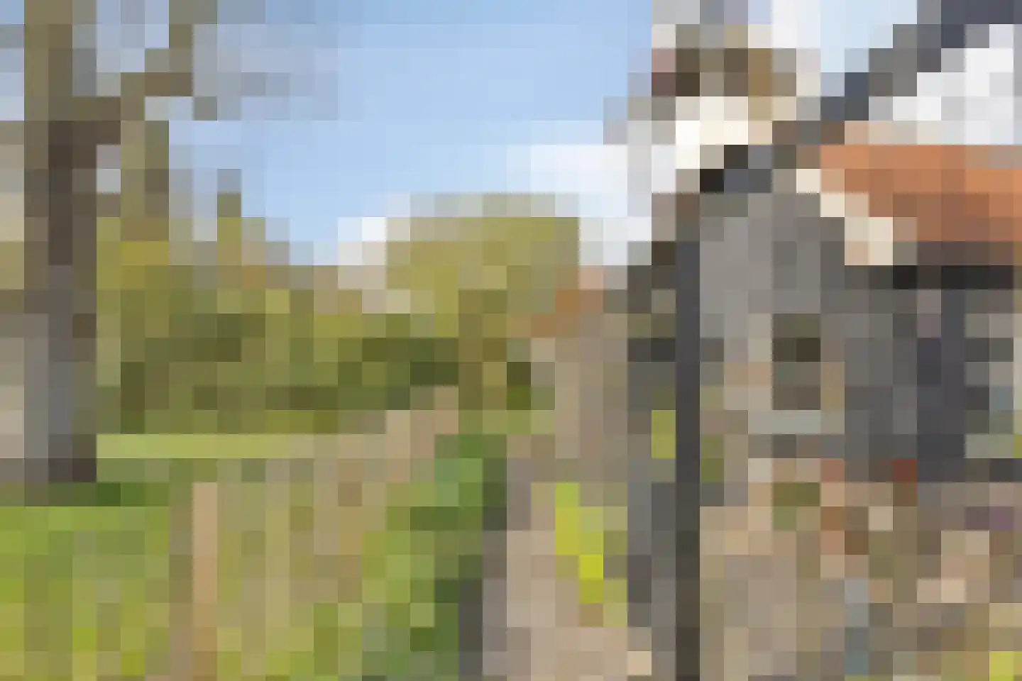 Westelijke Kanaalweg 59 Wemeldinge thumbnail 10