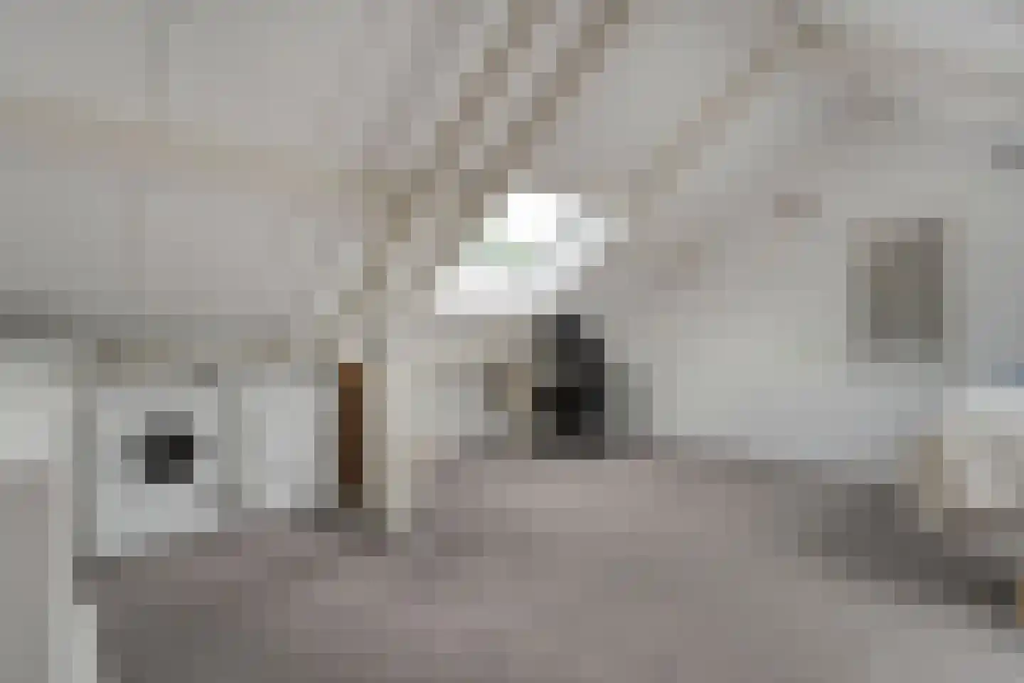 Westenbergmate 28 Zwolle thumbnail 27