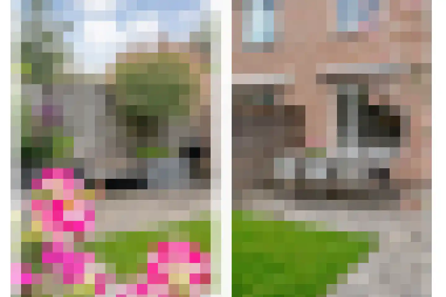 Westenbergmate 28 Zwolle thumbnail 30