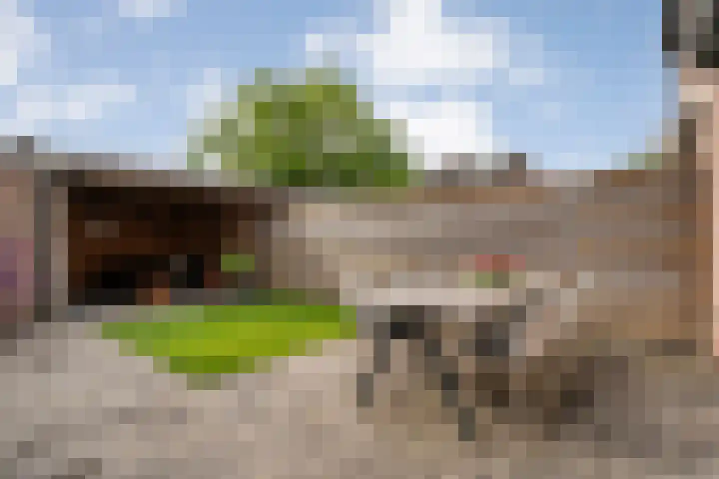 Westenbergmate 28 Zwolle thumbnail 31