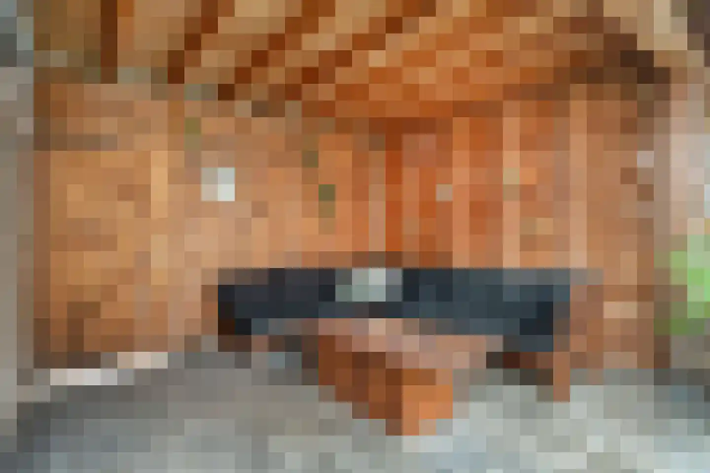 Westenbergmate 28 Zwolle thumbnail 33