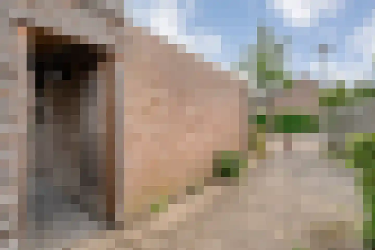 Westenbergmate 28 Zwolle thumbnail 35
