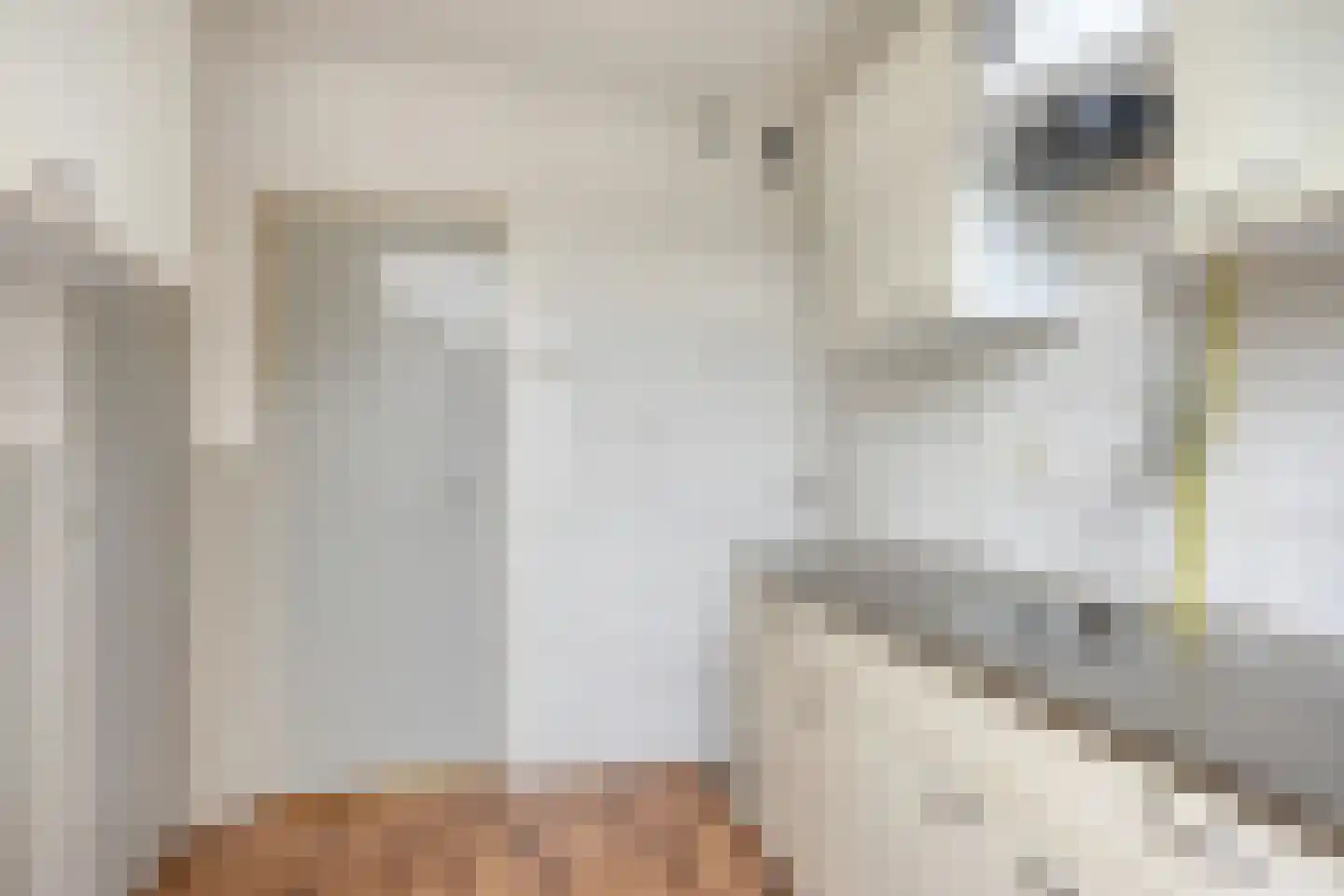 Westenbergstraat 68 Wilsum thumbnail 13