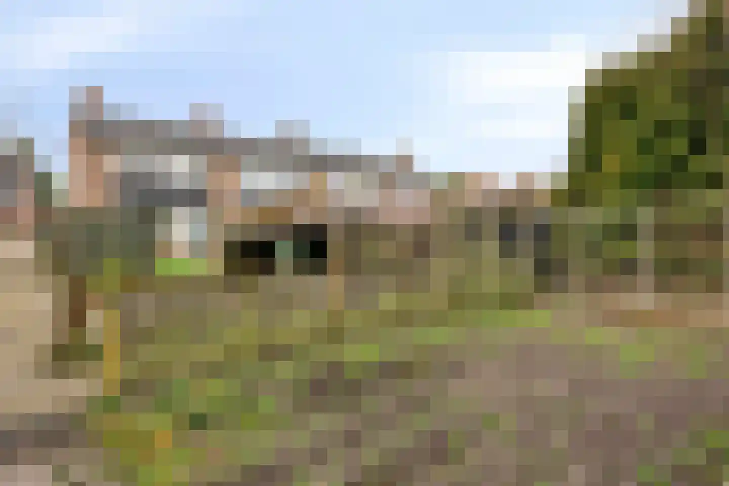 Westenbergstraat 68 Wilsum thumbnail 28