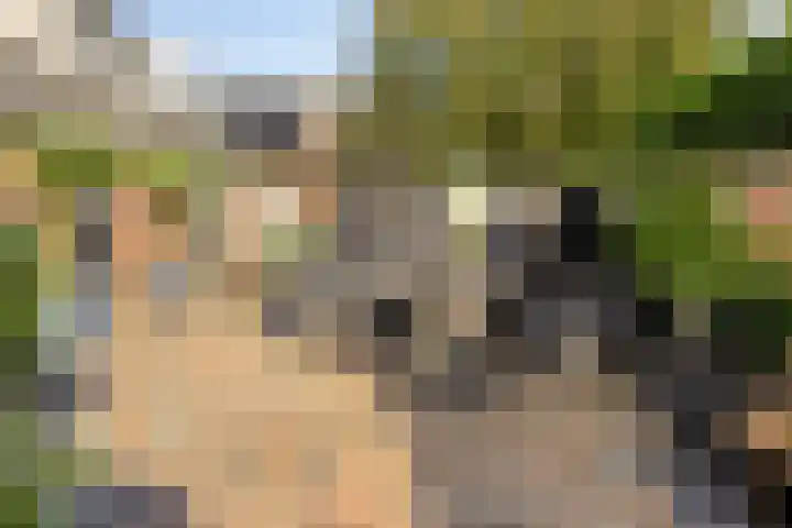 Westenbergstraat 8 Wilsum thumbnail 10
