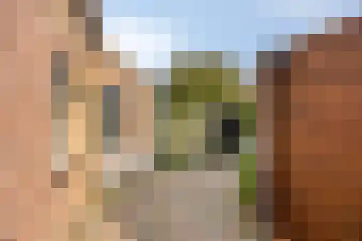 Westenbergstraat 8 Wilsum thumbnail 14