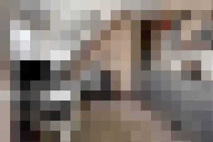 Westenbergstraat 8 Wilsum thumbnail 34