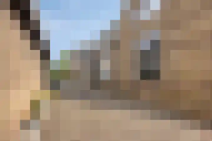Westenbergstraat 8 Wilsum thumbnail 37