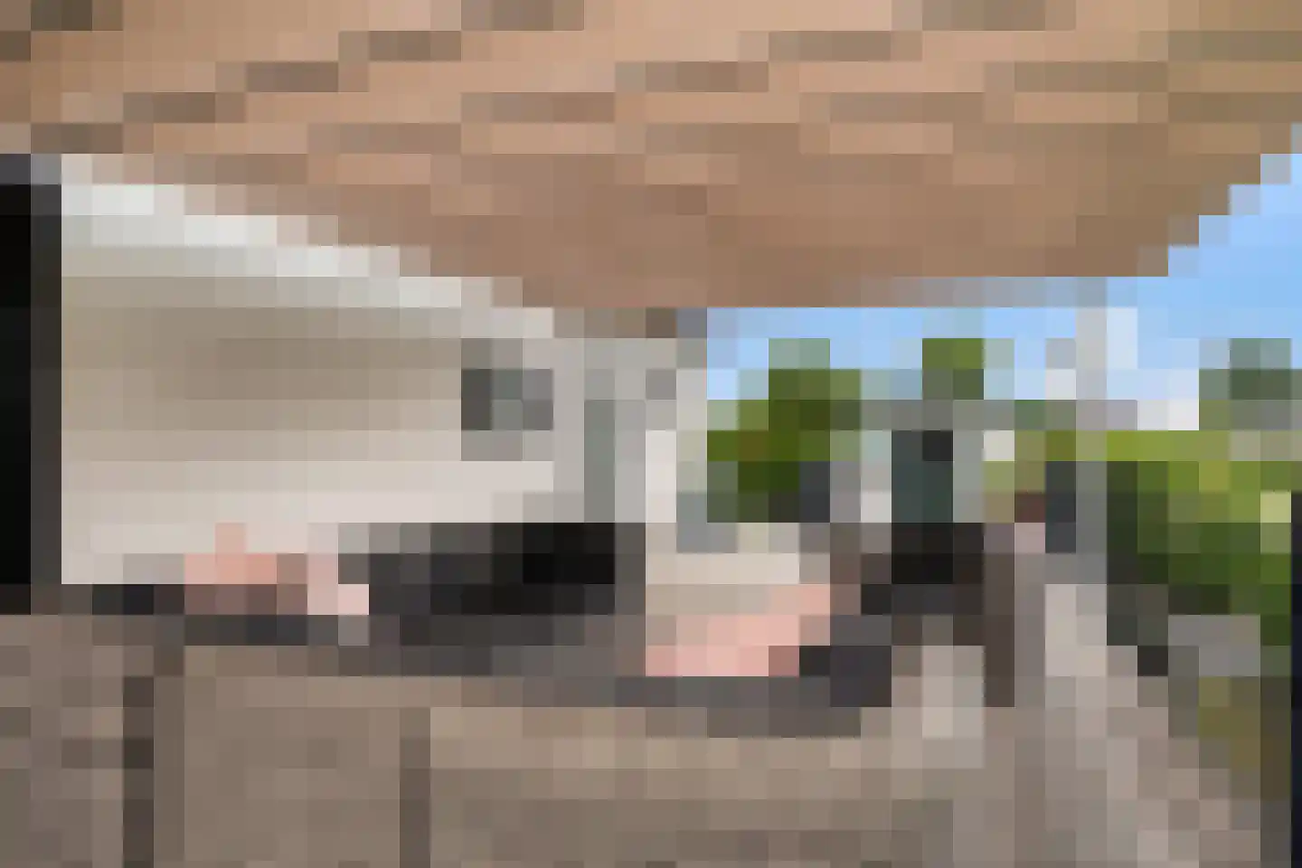 Westenburg 18 Benschop thumbnail 18