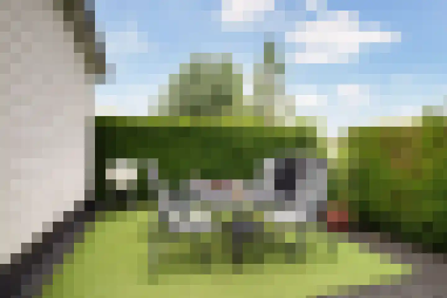 Westenburg 18 Benschop thumbnail 21