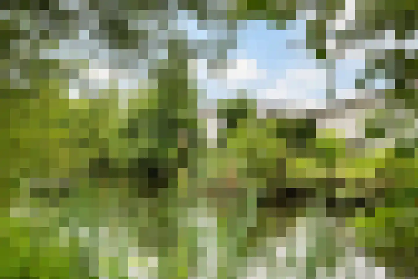 Westenburg 18 Benschop thumbnail 28