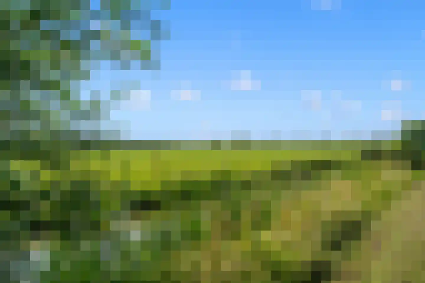 Westenburg 47 Benschop thumbnail 50