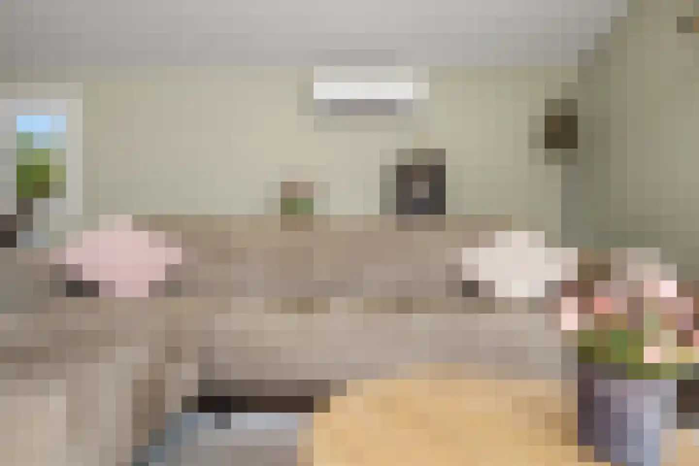 Westenburg 79 Benschop thumbnail 11
