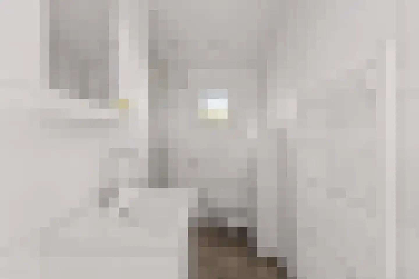 Westenburg 79 Benschop thumbnail 4