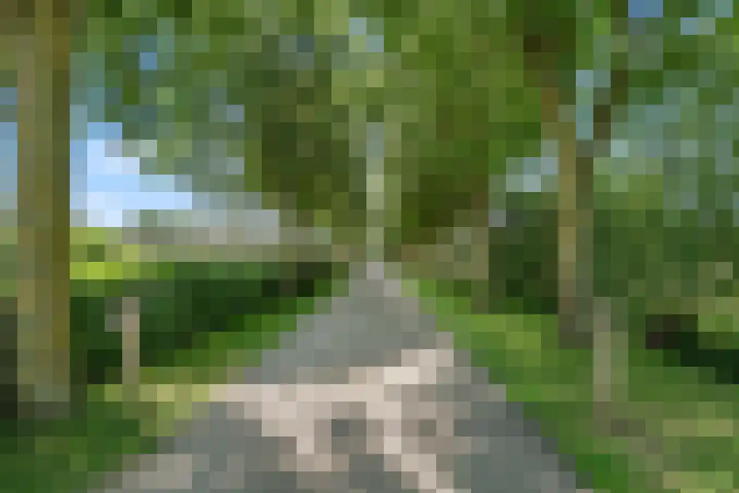 Westenburg 79 Benschop thumbnail 57