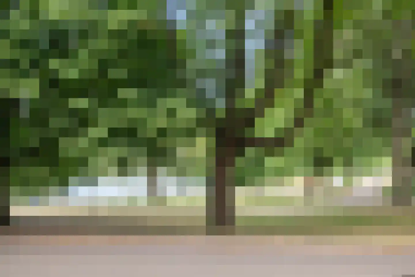 Westenburgerweg 260 's-Hertogenbosch thumbnail 4