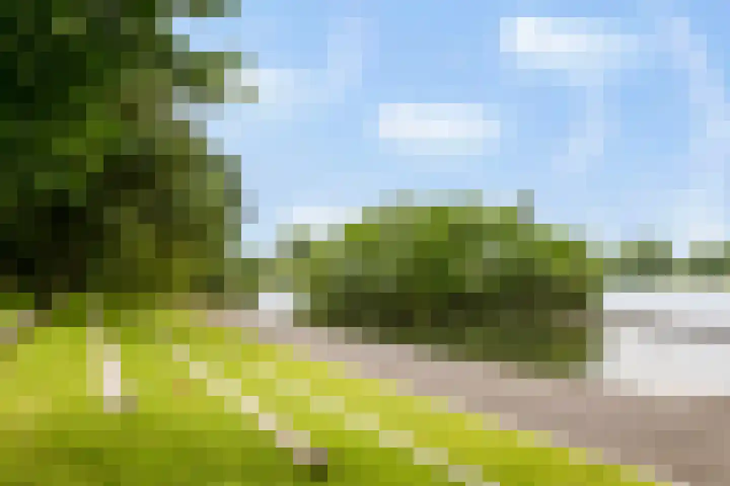 Westenburgerweg 288 's-Hertogenbosch thumbnail 40