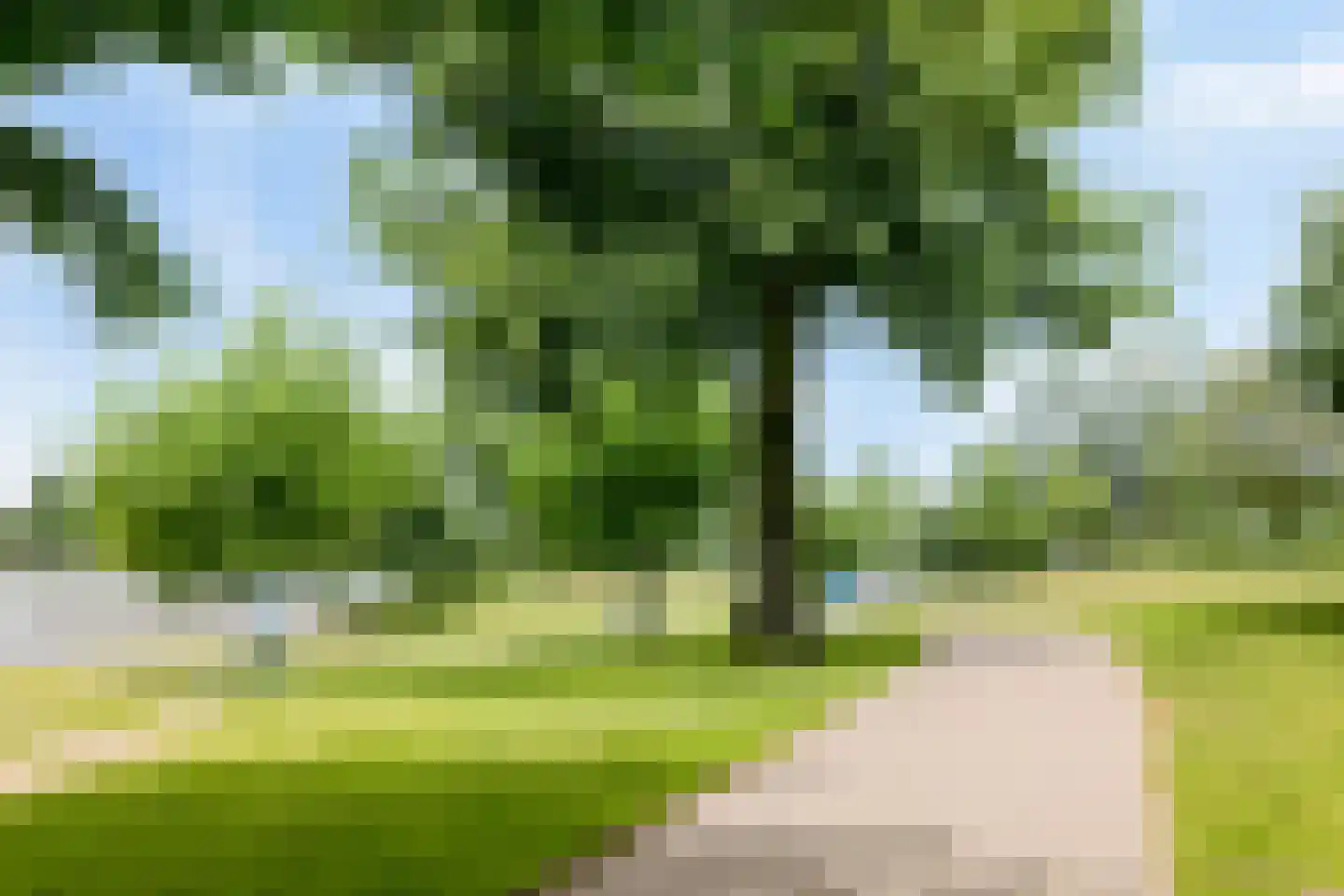 Westenburgerweg 288 's-Hertogenbosch thumbnail 41