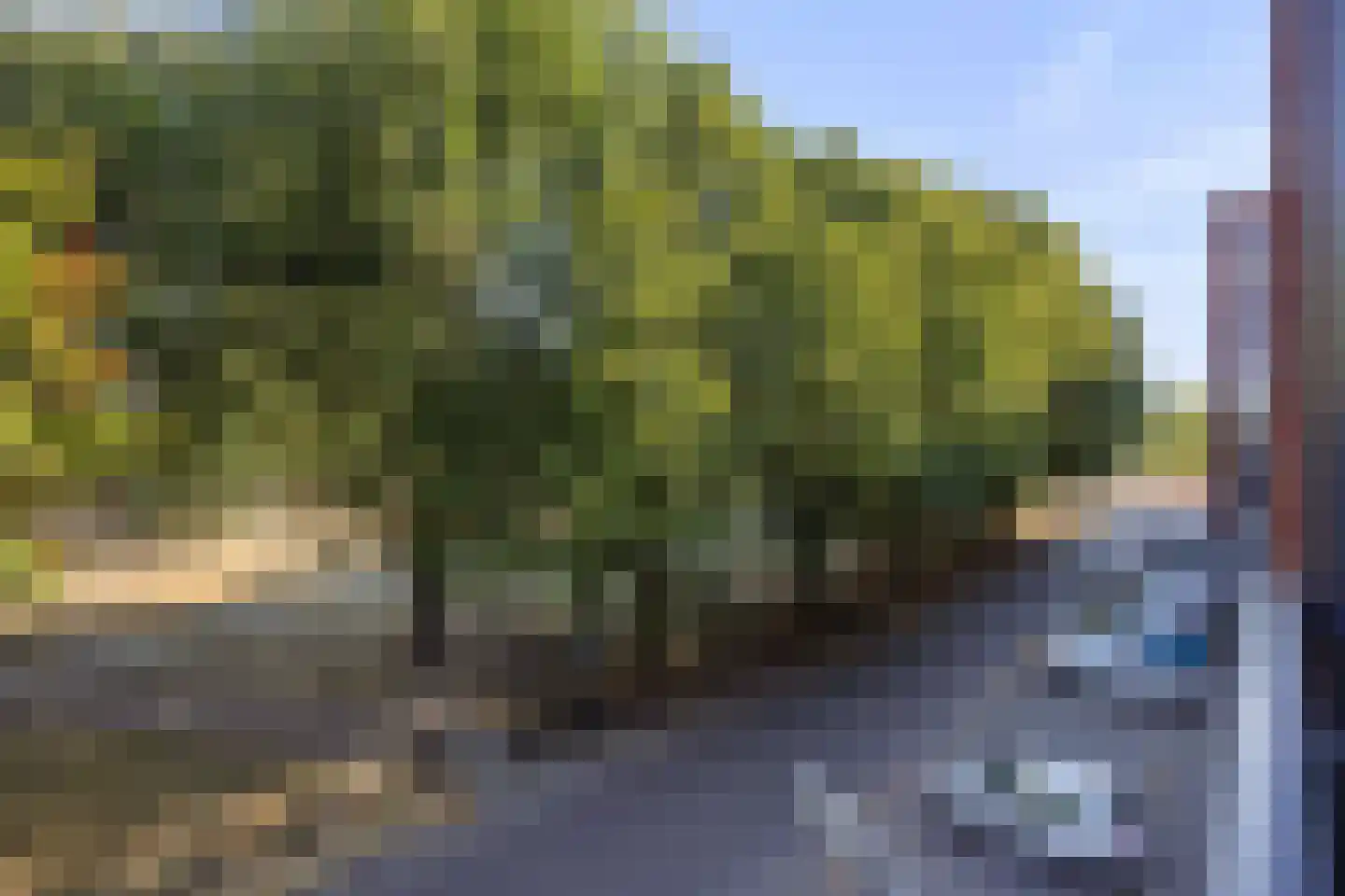Westenburgerweg 302 's-Hertogenbosch thumbnail 10
