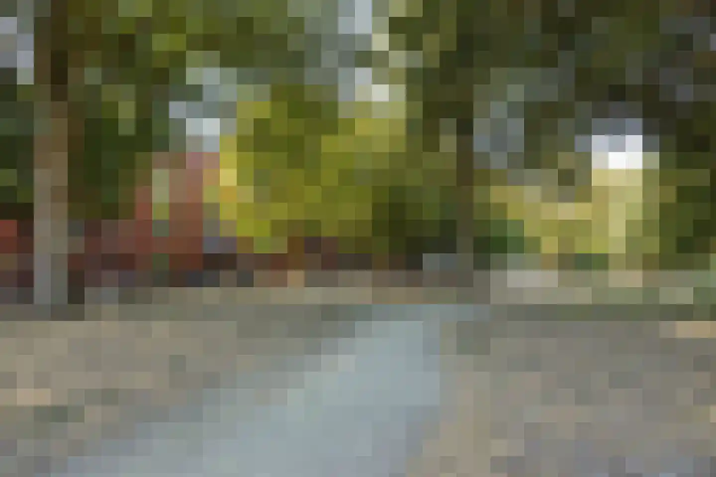 Westenburgerweg 302 's-Hertogenbosch thumbnail 4