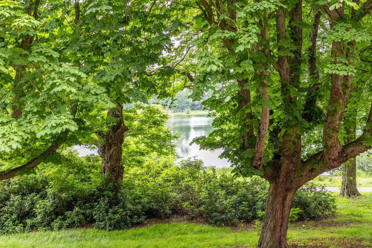 Westenburgerweg 32 's-Hertogenbosch thumbnail 15