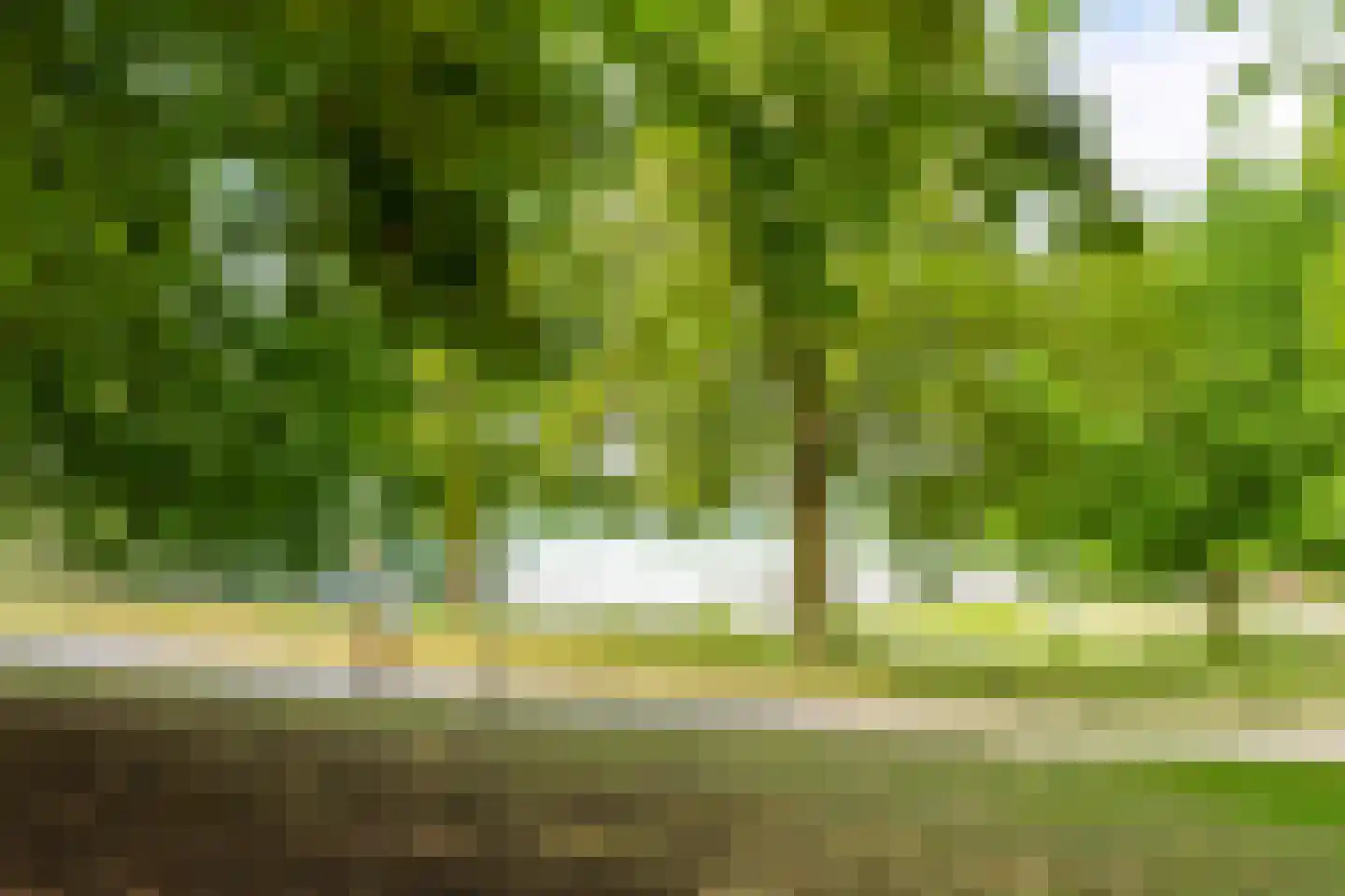 Westenburgerweg 402 's-Hertogenbosch thumbnail 23