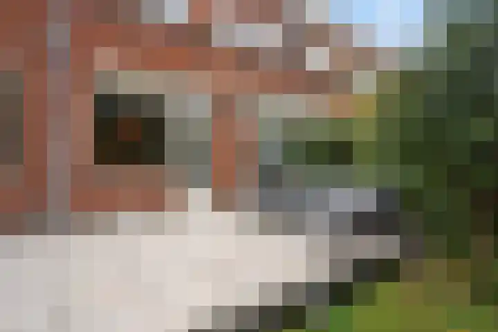 Westenburgstraat 20 Voorburg thumbnail 29
