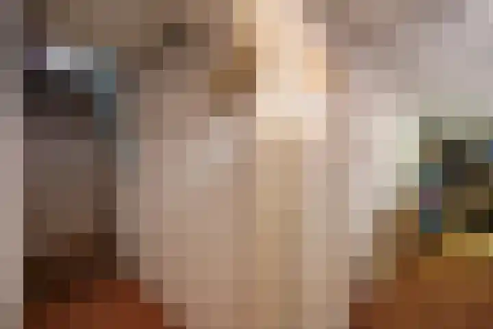 Westenburgstraat 20 Voorburg thumbnail 41