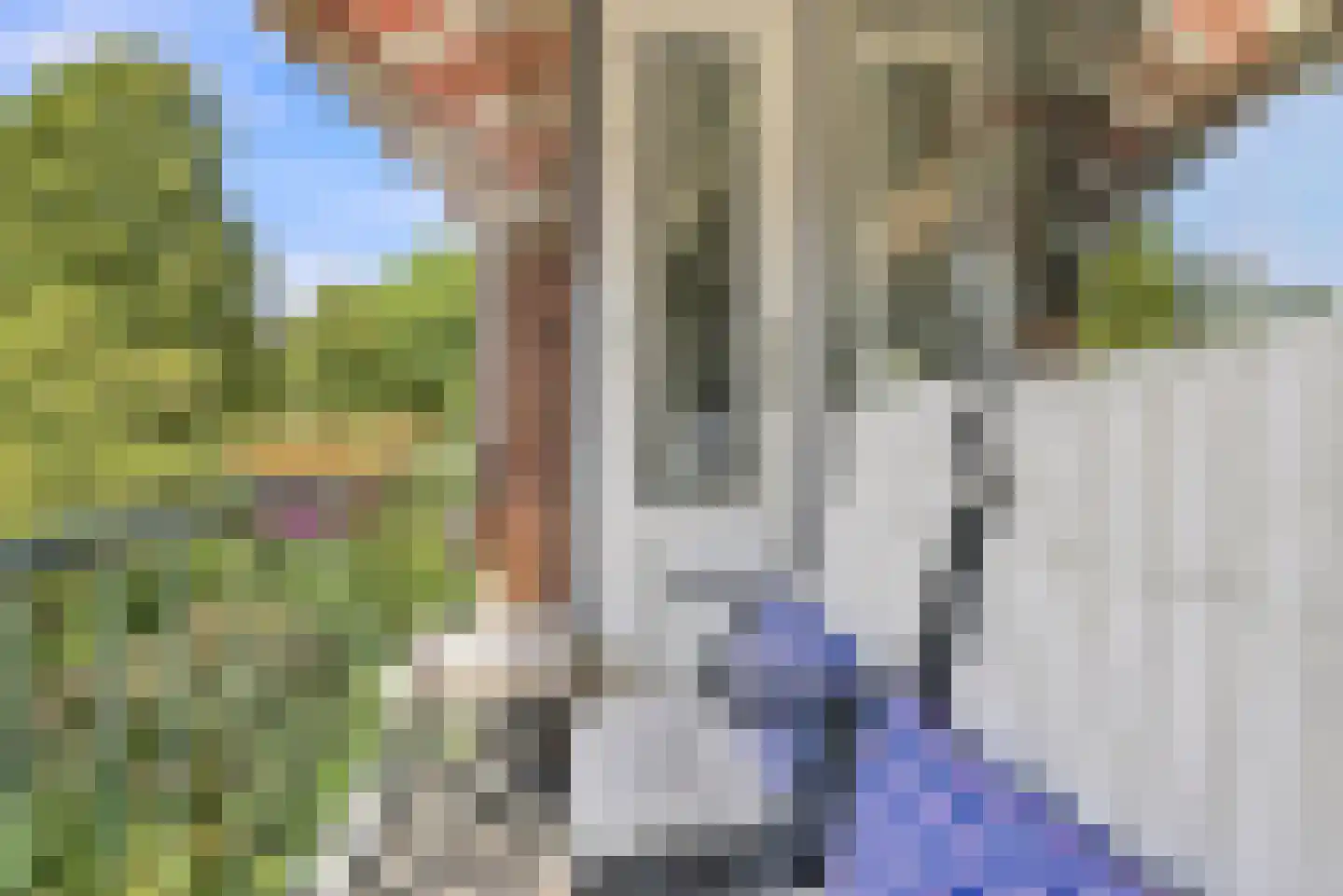 Westenburgstraat 25 Voorburg thumbnail 11