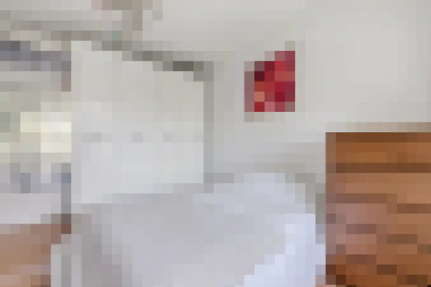 Westenburgstraat 25 Voorburg thumbnail 8