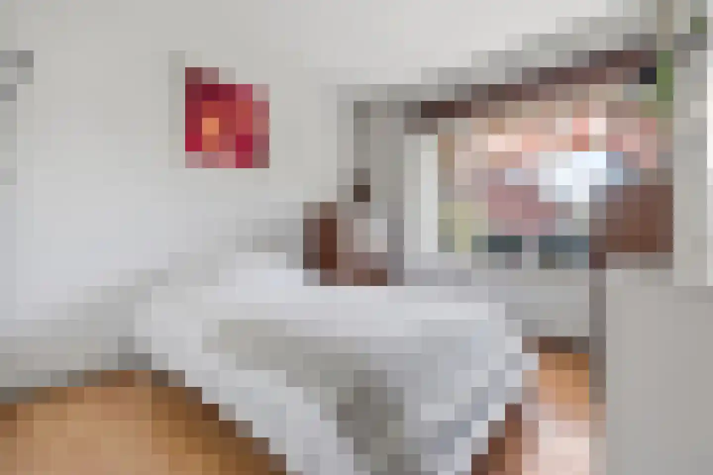 Westenburgstraat 25 Voorburg thumbnail 9