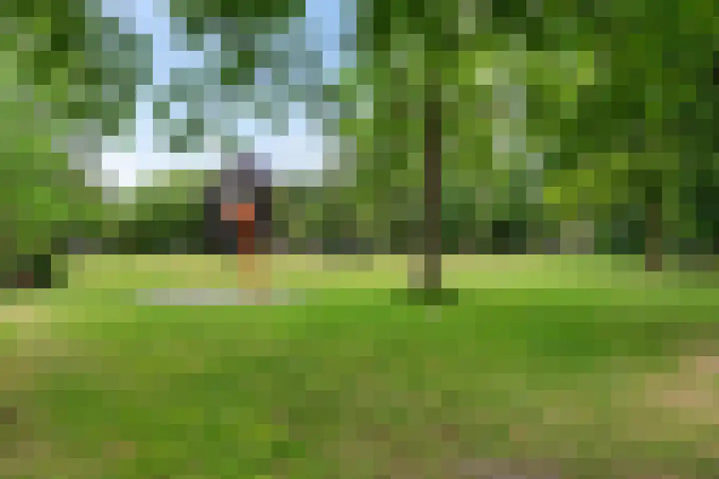 Westenburgstraat 34 Voorburg thumbnail 45