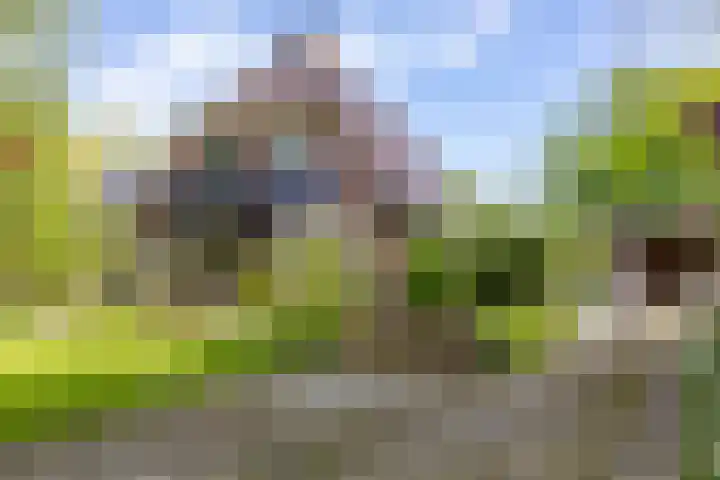 Westendorpweg 3 Losdorp thumbnail 101