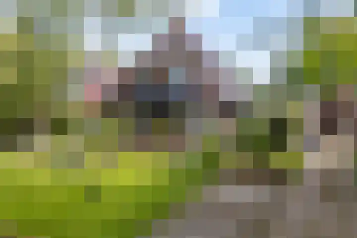 Westendorpweg 3 Losdorp thumbnail 15