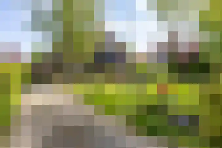 Westendorpweg 3 Losdorp thumbnail 18