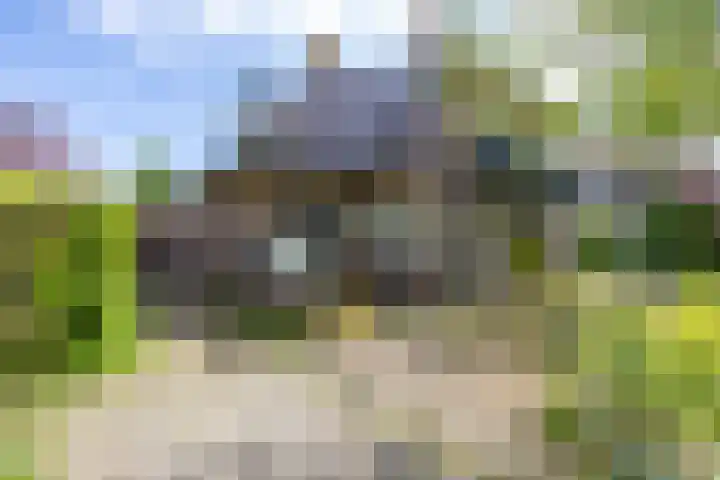 Westendorpweg 3 Losdorp thumbnail 19