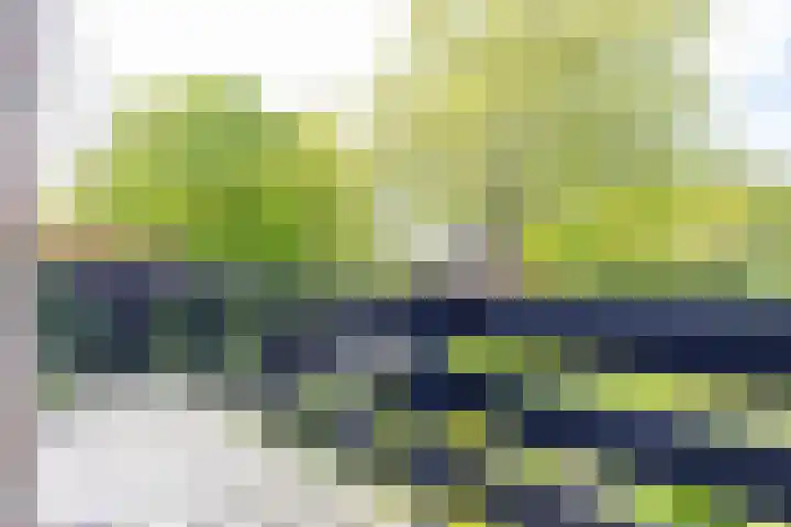Westendorpweg 3 Losdorp thumbnail 61