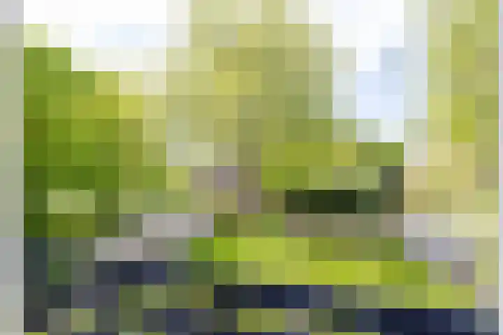 Westendorpweg 3 Losdorp thumbnail 62