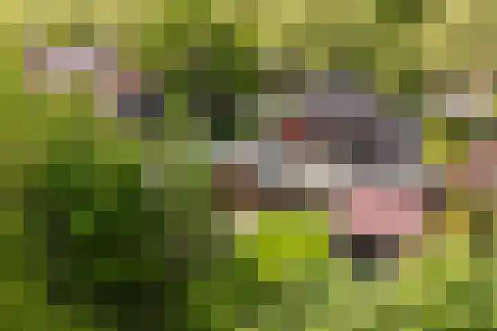 Westendorpweg 3 Losdorp thumbnail 92