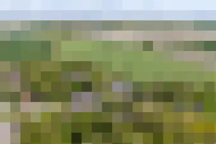 Westendorpweg 3 Losdorp thumbnail 93