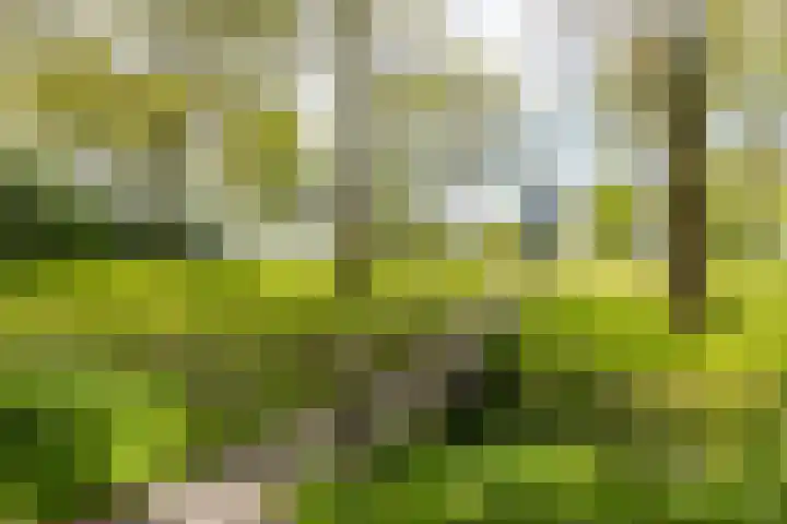 Westendorpweg 3 Losdorp thumbnail 95